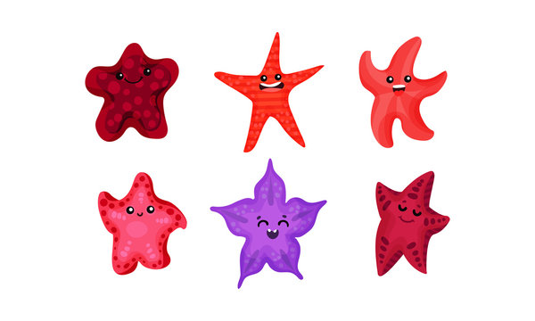Colored starfish. Vector illustration on a white background.