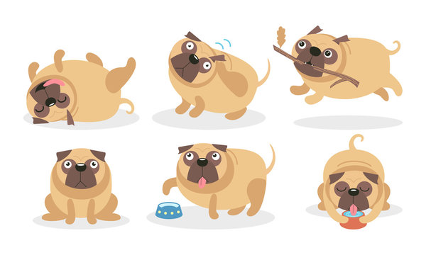 Cute pugs in different poses and situations. Vector illustration.