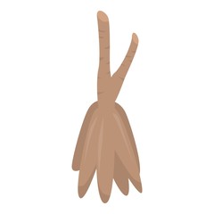 Cassava plant icon. Isometric of cassava plant vector icon for web design isolated on white background