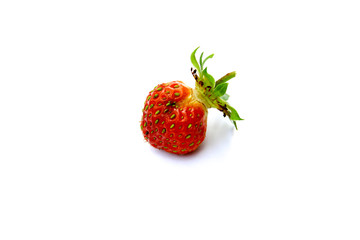 Isolated red strawberry with green grains on white background
