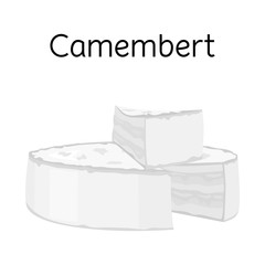 Vector illustration of cheese and maasdam sign. Web element of cheese and piece vector icon for stock.