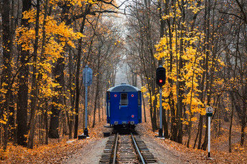 Railroad single track through the woods in autumn. Fall landscape. red stop semaphore signal. Last railway carriage of blue train back view.