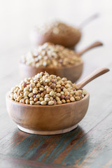 Organic Dried coriander seeds (Coriandrum sativum) in wooden bowls with spoon on rustic background.