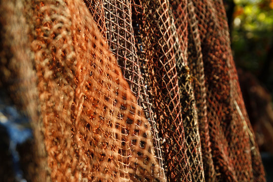 Fish net