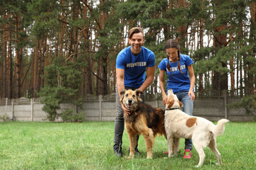 Volunteers with homeless dogs at animal shelter outdoors