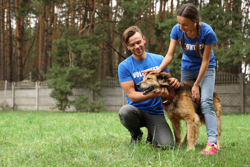 Naklejka na ściany i meble Volunteers with homeless dog at animal shelter outdoors