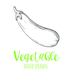 Eggplant hand drawn vector illustration, isolated sketched design element.