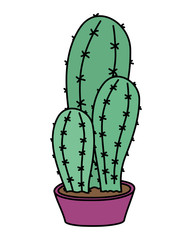 cactus mexican plant isolated icon