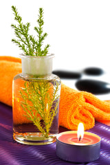 Wellness oil and stones with herbs