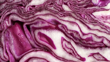 Red cabbage so close for background