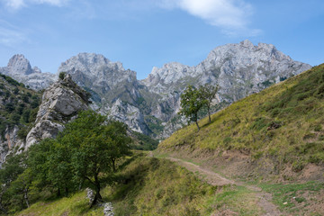 Fototapeta na wymiar Mountain area overlooking the natural park of the Picos de Europa