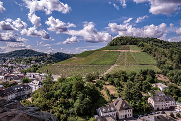 Weinberge bei Saarbrug