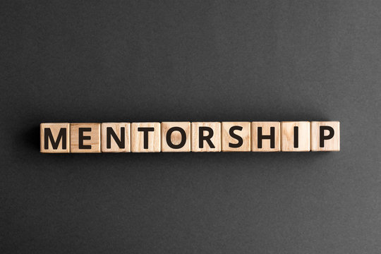 Mentorship - word from wooden blocks with letters, mentoring mentorship concept,  top view on grey background