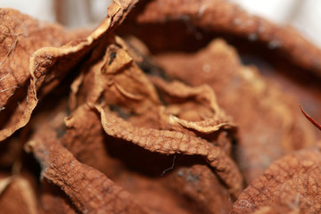 Fototapeta na wymiar Dried rose from bouquet of flowers. Brown caused by dryness. From keeping for a long time.
