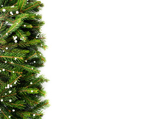 Tree branches in the snow on a white, a place for text. Christmas background.