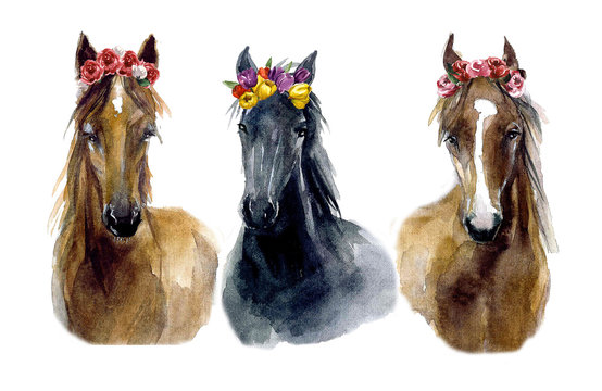 watercolor horses with flowers. Cute horses with love