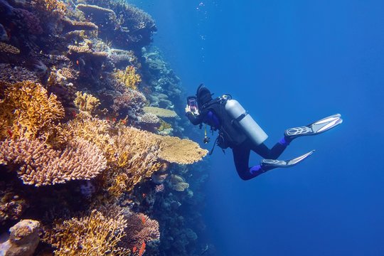 Scuba diver near the coral wall photographing colorful coral reef