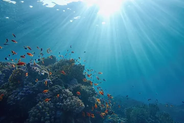 Poster Levengevend zonlicht onder water. Zonnestralen die onder water schijnen op het tropische koraalrif. Ecosysteem en milieubehoud © Tunatura