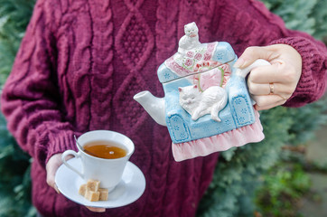 Woman pouring tea from a funny tea kettle - which forms a couch with a cat - woman wearing knitted red pullover - winter teatime coffeetime scene