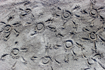 footprints in the sand