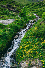 Fototapeta na wymiar Small mountain water stream