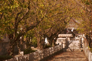 Naklejka premium 令和