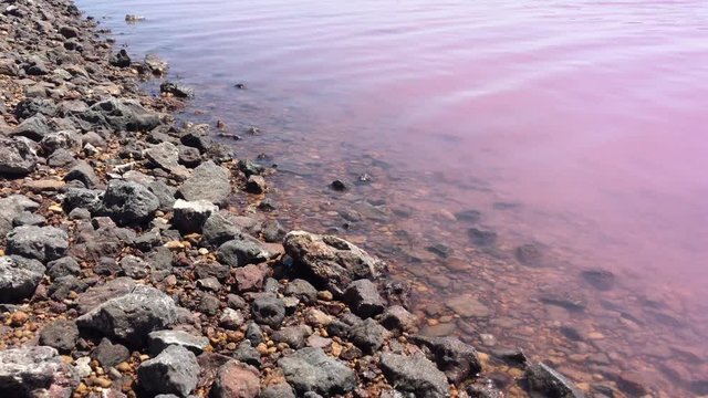 Landscape view of Hutt Lagoon pink lake at Port Gregory in Western Australia.