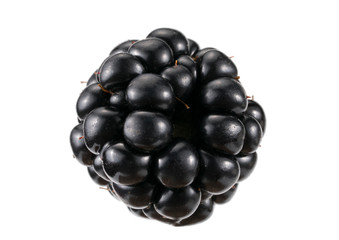 Side view on one shiny natural juicy blackberry on white background. Close-up side view on one reshly harvested isolated black shiny blackberry, food, fruit