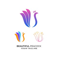 Peacock Colorful Illustration Vector Design Template.
