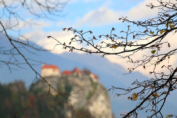 Autumn leaves with Bled Castle in the background. Lake Bled is popular tourist destination in Slovenia. Selective focus.