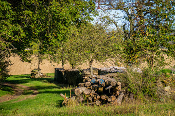 Brennholzlager © focus finder
