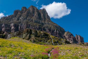 Wild flowers and mountain meadows along the Hidden Pass Trail in Logan Pass area of Glacier National Park, Montana, USA