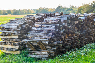 Brennholzlager © focus finder