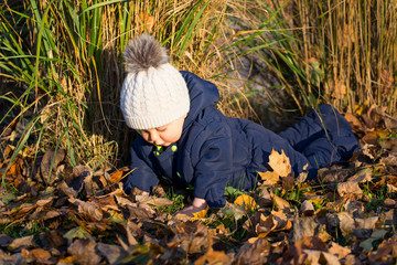 Naklejka na ściany i meble Horizontal portrait of baby boy in dark suit crawling in dry leaves during a beautiful late fall afternoon