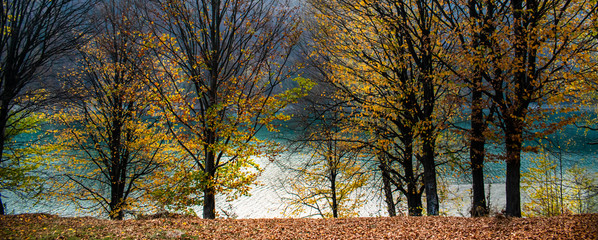 Beautiful view through the trees of a lake surrounded by forests, in a sunny day in autumn