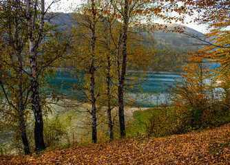 Beautiful view through the trees of a lake surrounded by forests, in a sunny day in autumn