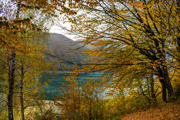 Beautiful view through the trees of a lake surrounded by forests, in a sunny day in autumn