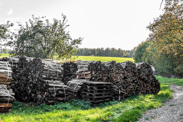 Brennholzlager © focus finder