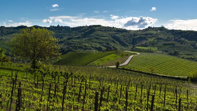 View of the hills and vineyards of the Langhe in the middle of a asphalted road crossed by a car