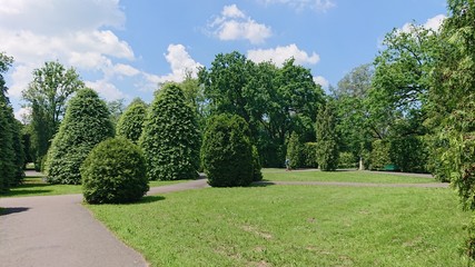 garden in park