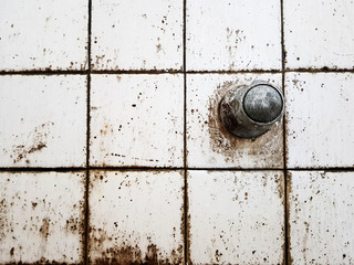 Dirt on the wall of the tile