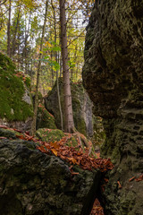 Geheimnissevolle Landschaft des Druidenhaines in der Fränkischen Schweiz