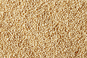 Amaranth closeup as background