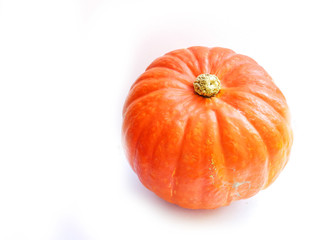 Pumpkin on white background