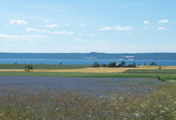 Wiew of the swedish island Visings&ouml;.