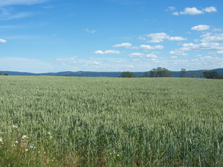 Wiew of the swedish island Visingsö.
