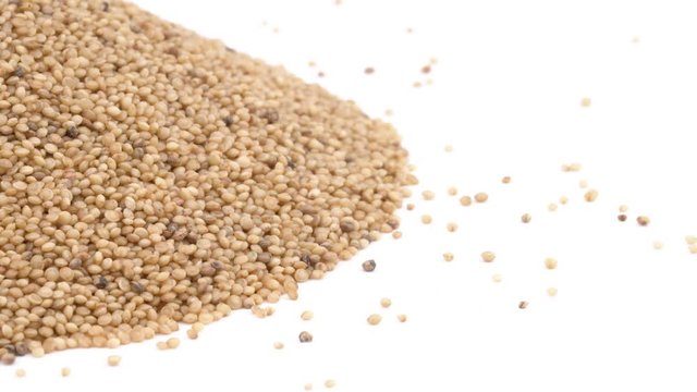 Handful of amaranth seeds rotating. Healthy food concept. Isolated, on white background. Selective focus shot, copy space