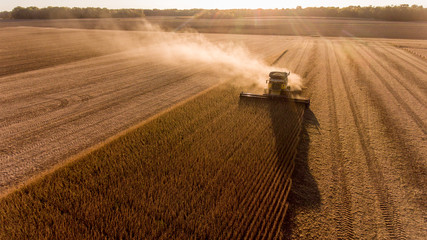 Farmer harvesting soybeans in Midwest - obrazy, fototapety, plakaty