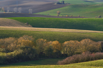 Fototapeta na wymiar Landscape panoramatic picture of fields, meadows, bushes and trees in sunny autumn evening in Slovakia, by city Martin, between Mala and Velka Fatra mountain range. Wawes in agricultural countryside.