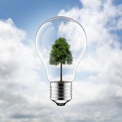 3D Light Bulb With Green Tree Inside Isolated on Blue Sky and Clouds Background